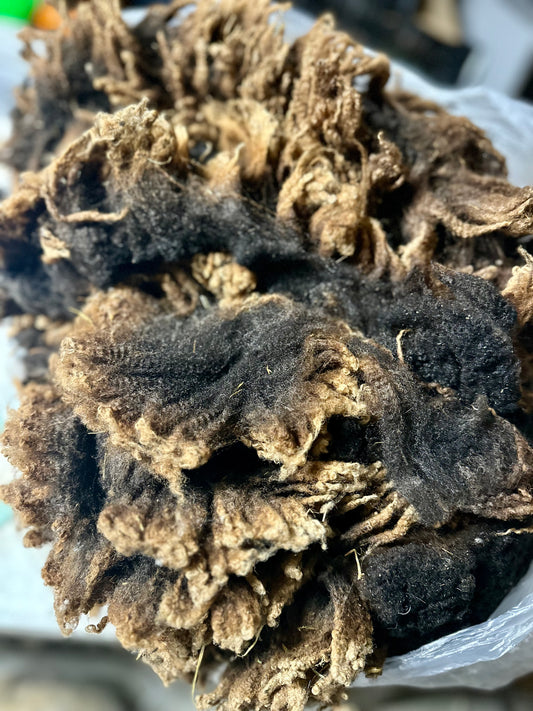 Stout: Merino X Fleece 2026 (uncoated)
