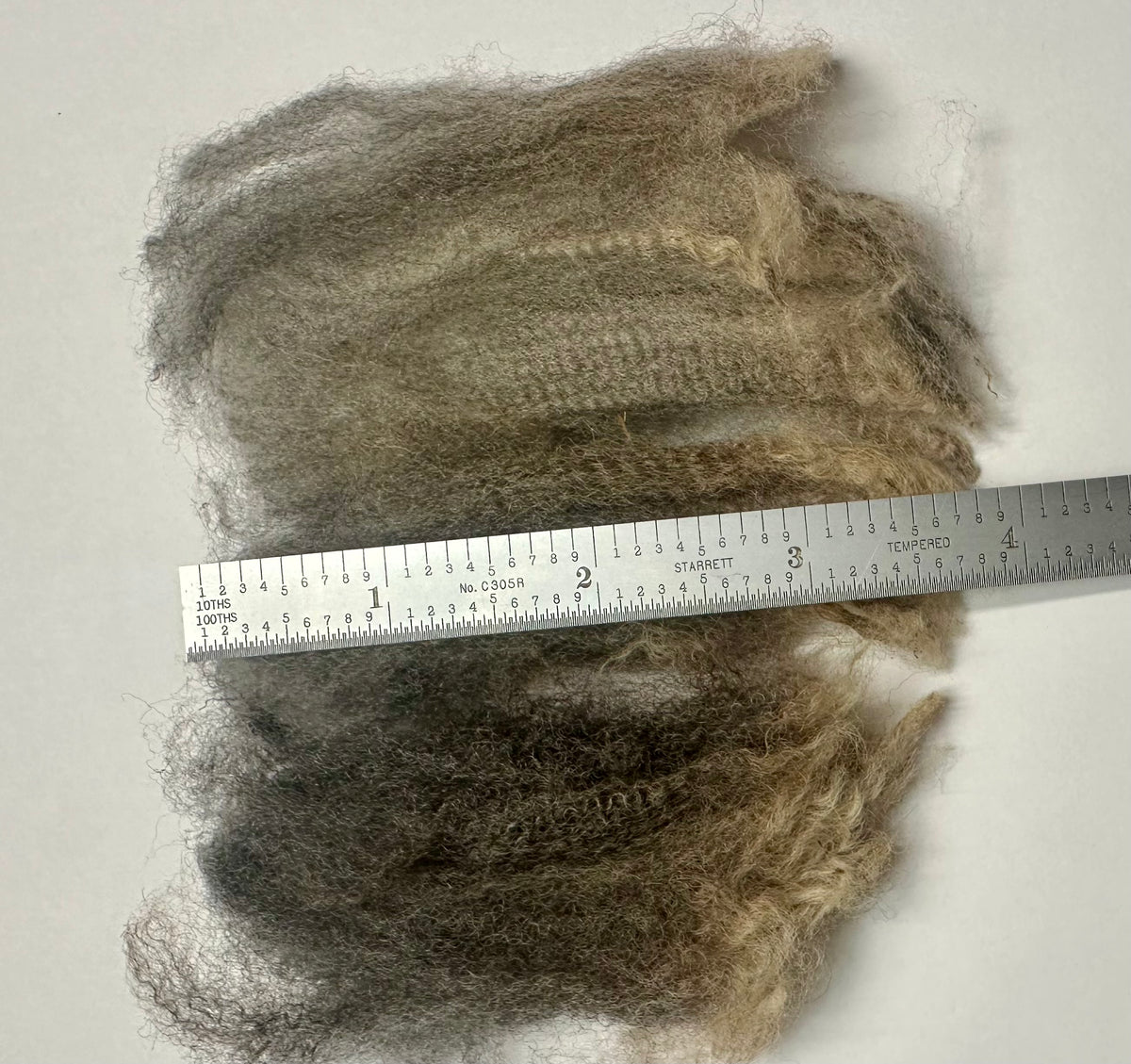 Logan (wether) - fleece