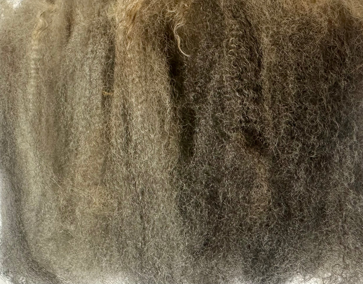 Logan (wether) - fleece