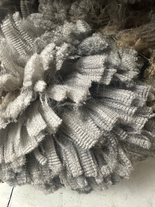 Logan (wether) - fleece