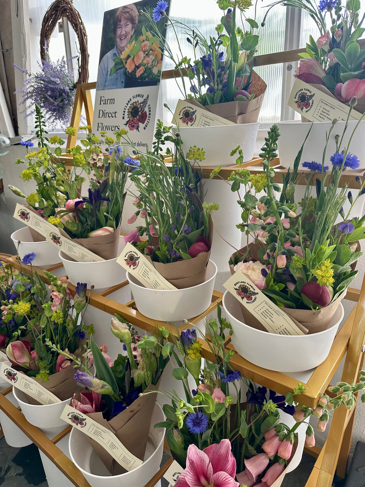 Fresh Cut Flowers