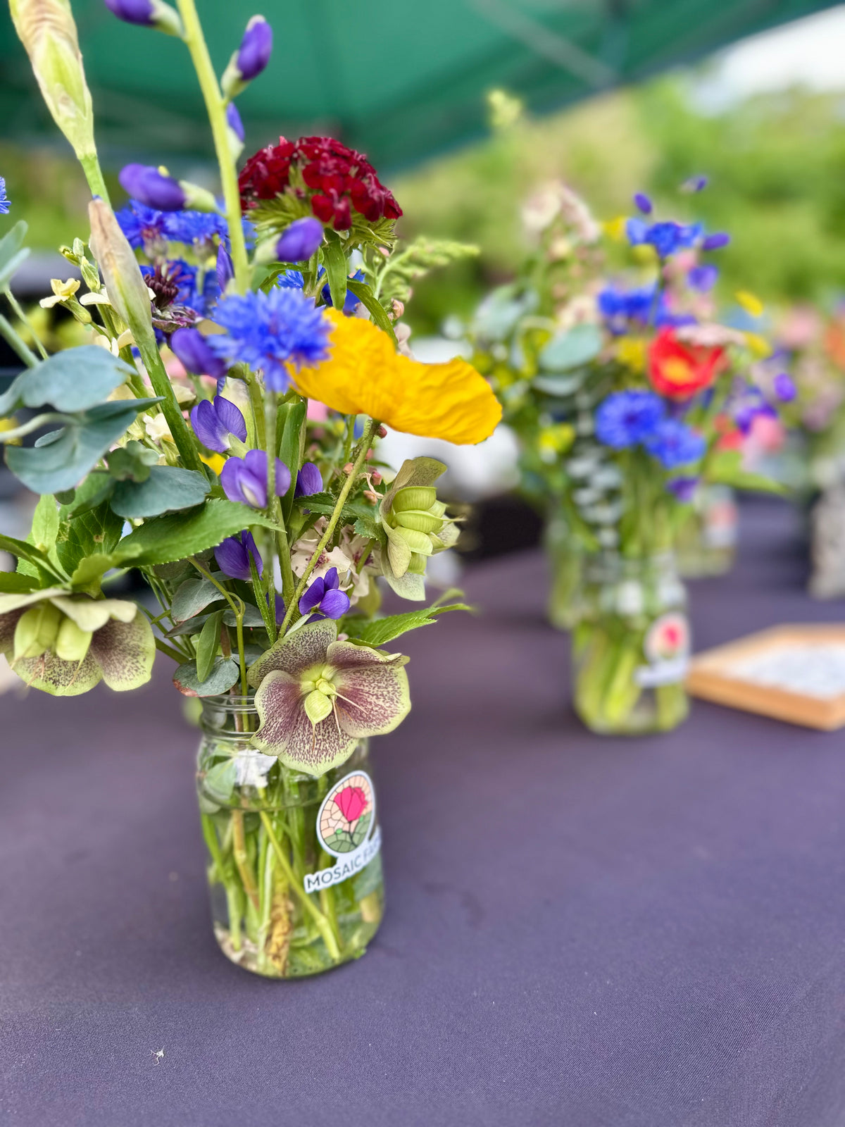 Fresh Cut Flowers