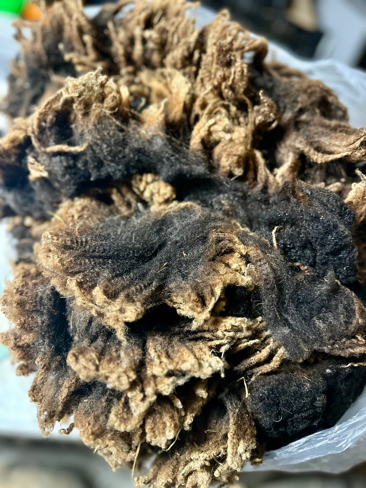 Stout: Merino X Fleece 2026 (uncoated)