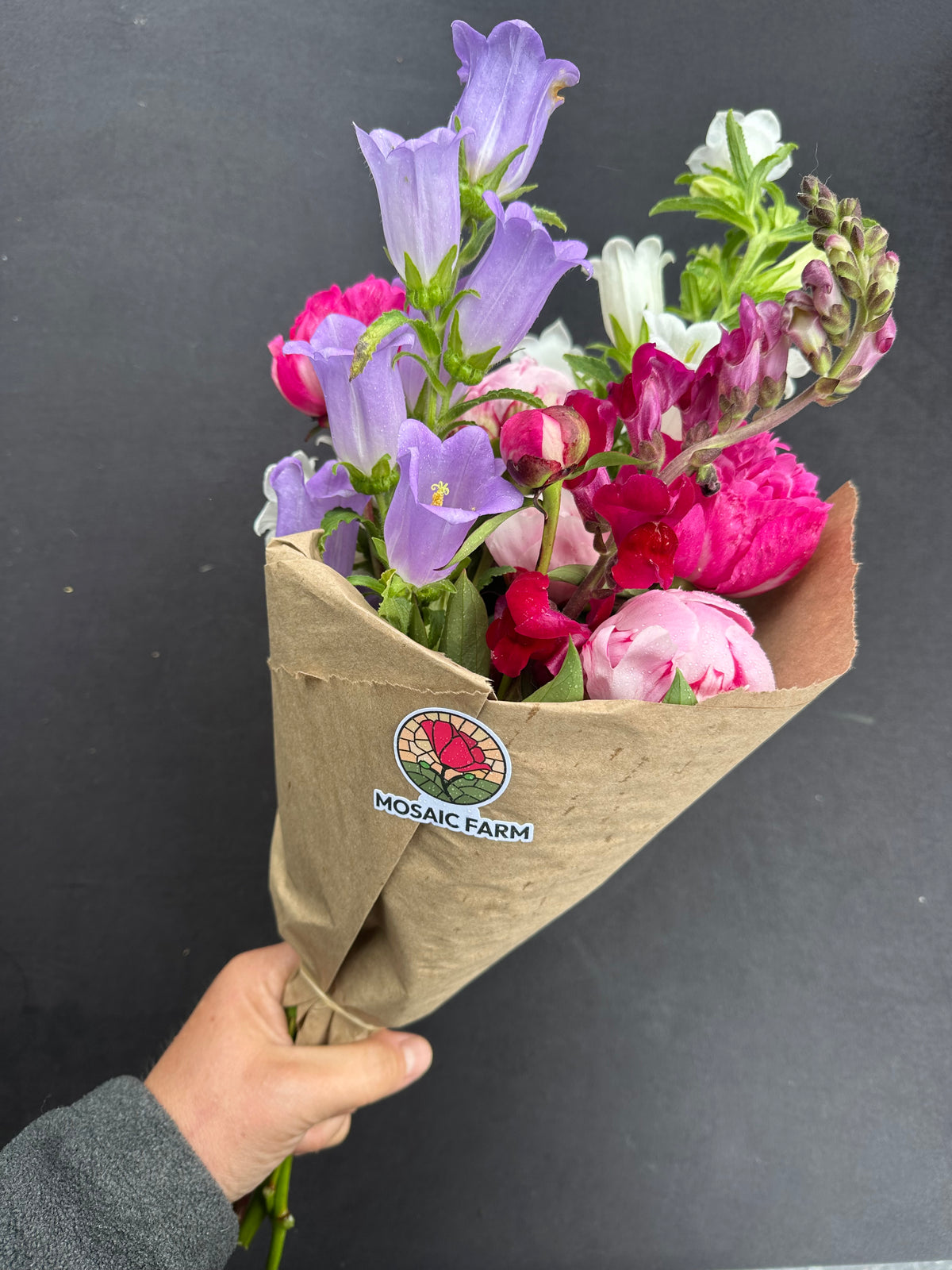 Fresh Cut Flowers