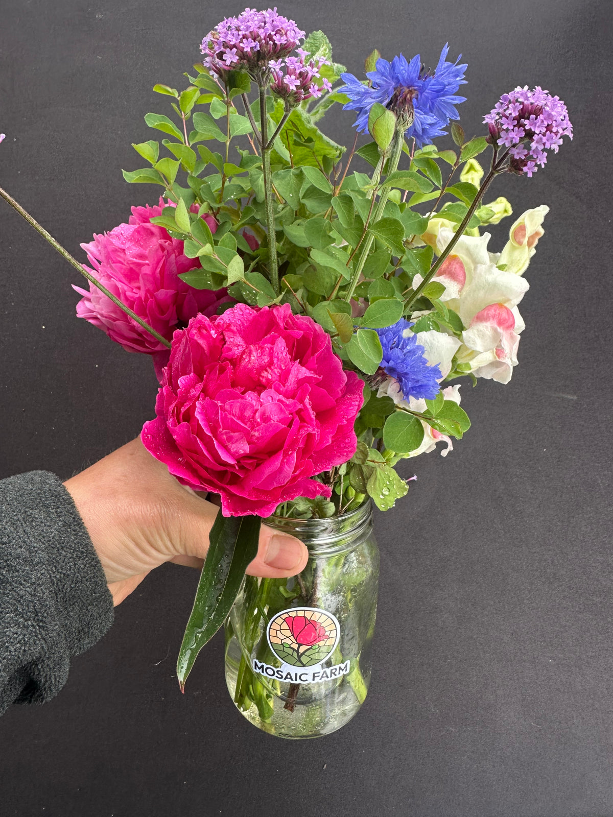 Fresh Cut Flowers