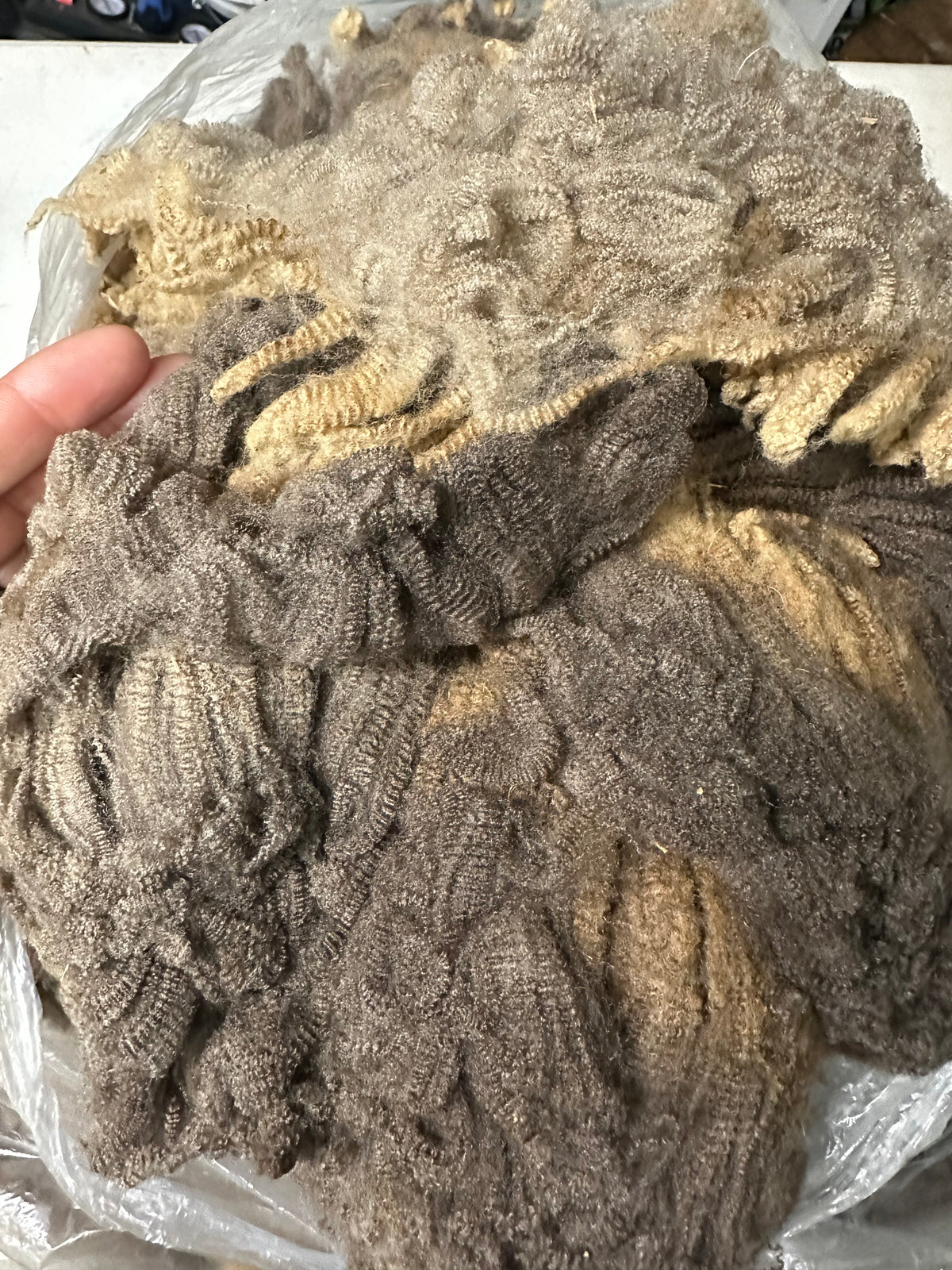 Kiwi: Merino X bonus fleece (uncoated)