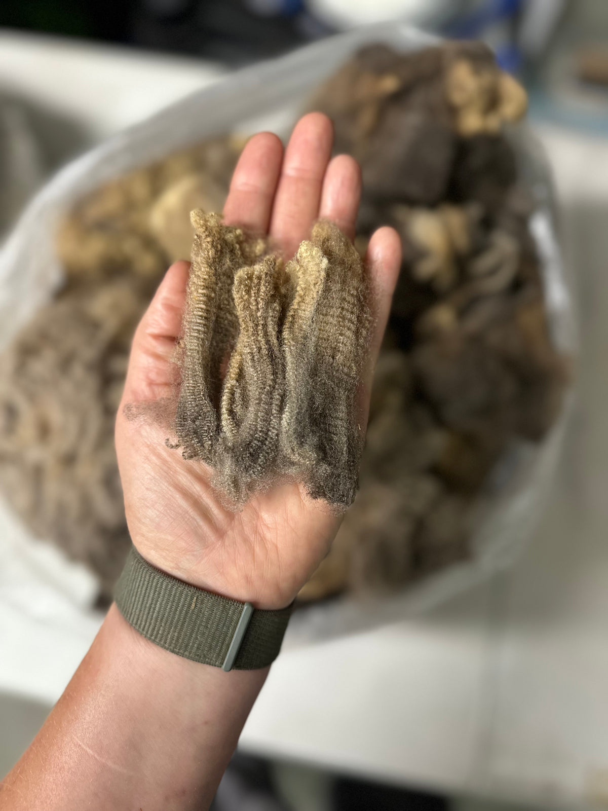 Kiwi: Merino X bonus fleece (uncoated)