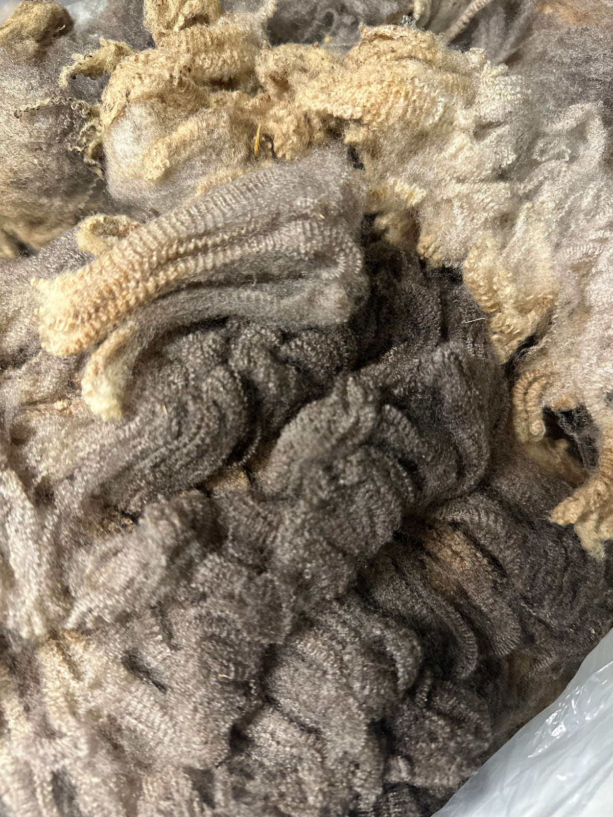 Kiwi: Merino X bonus fleece (uncoated)