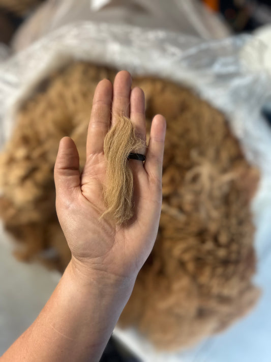 Alpaca Fiber: Honey Brown