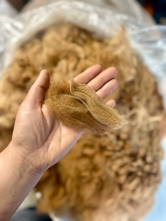 Alpaca Fiber: Honey Brown
