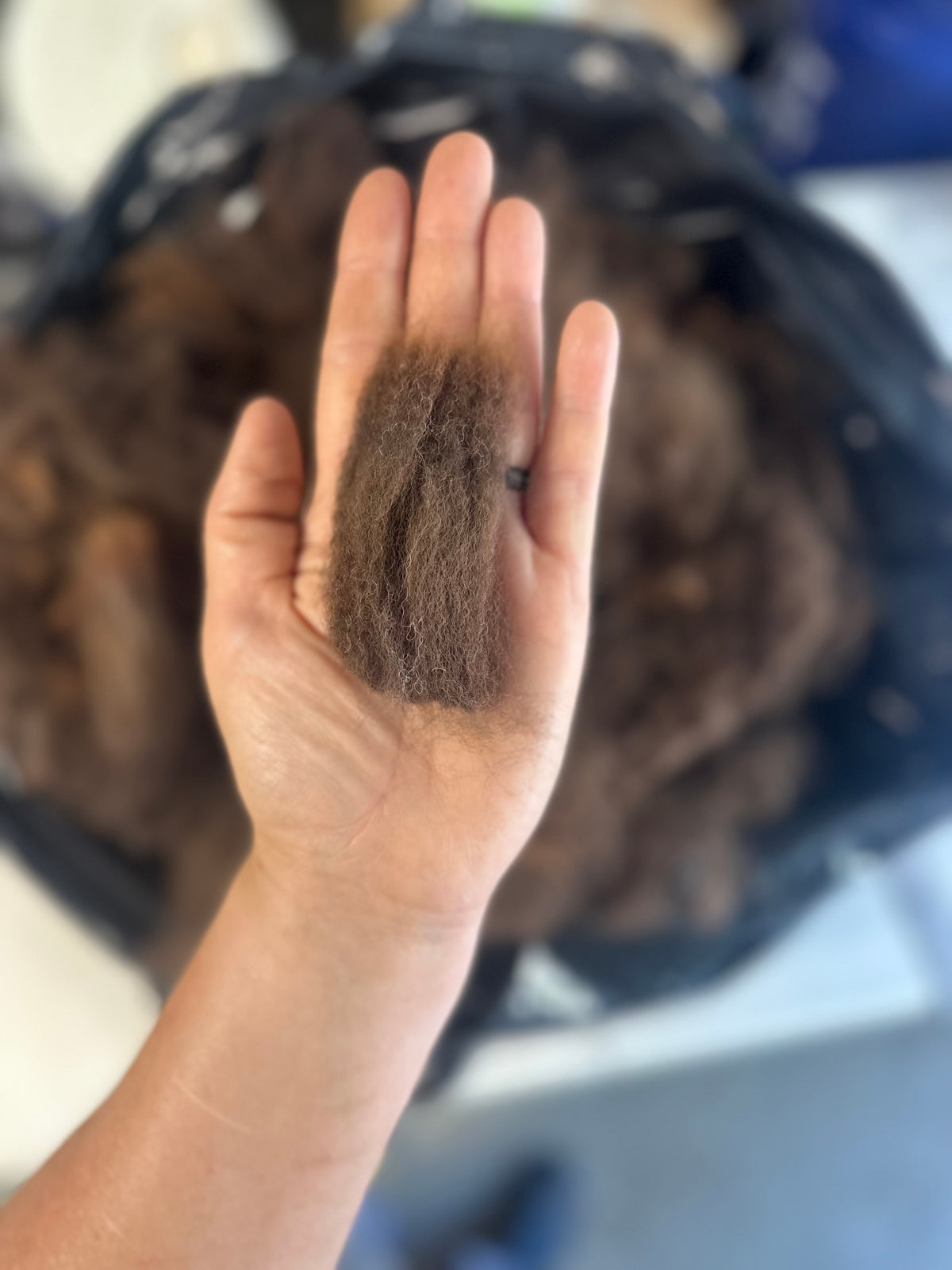 Alpaca Fiber: Chocolate Brown