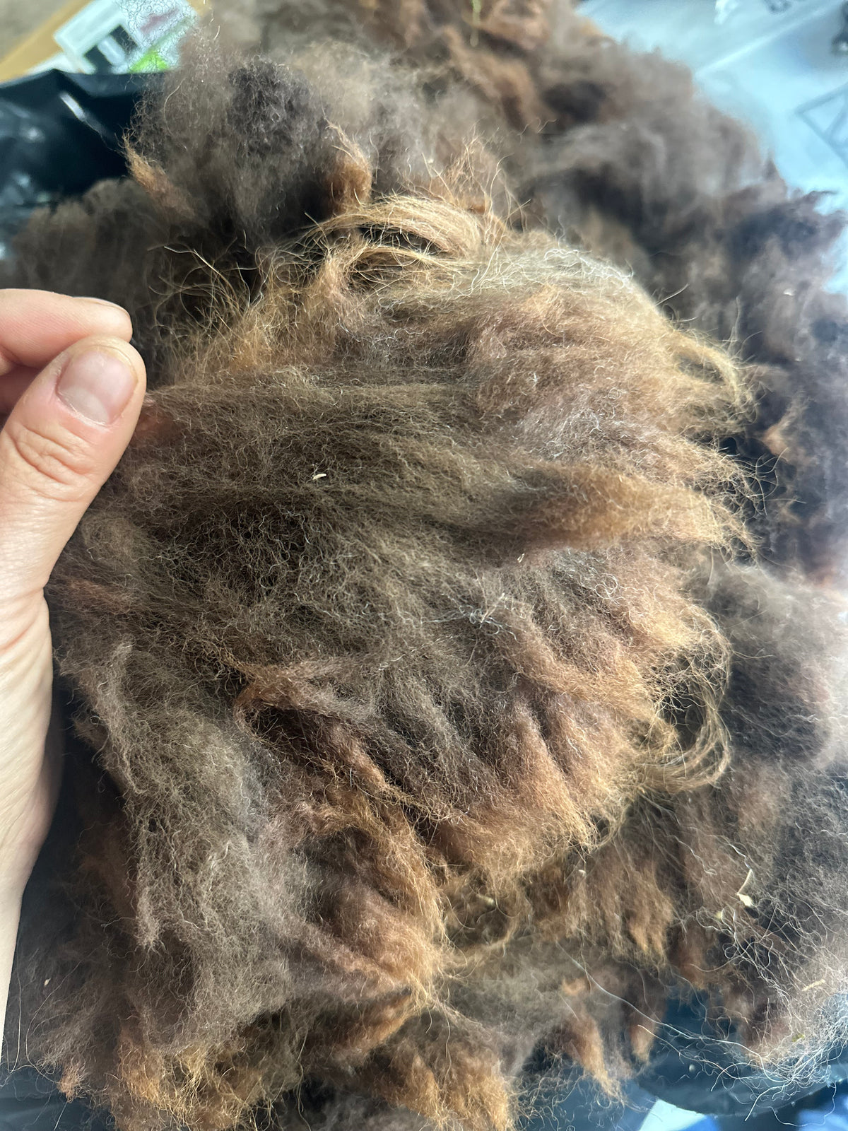 Alpaca Fiber: Chocolate Brown