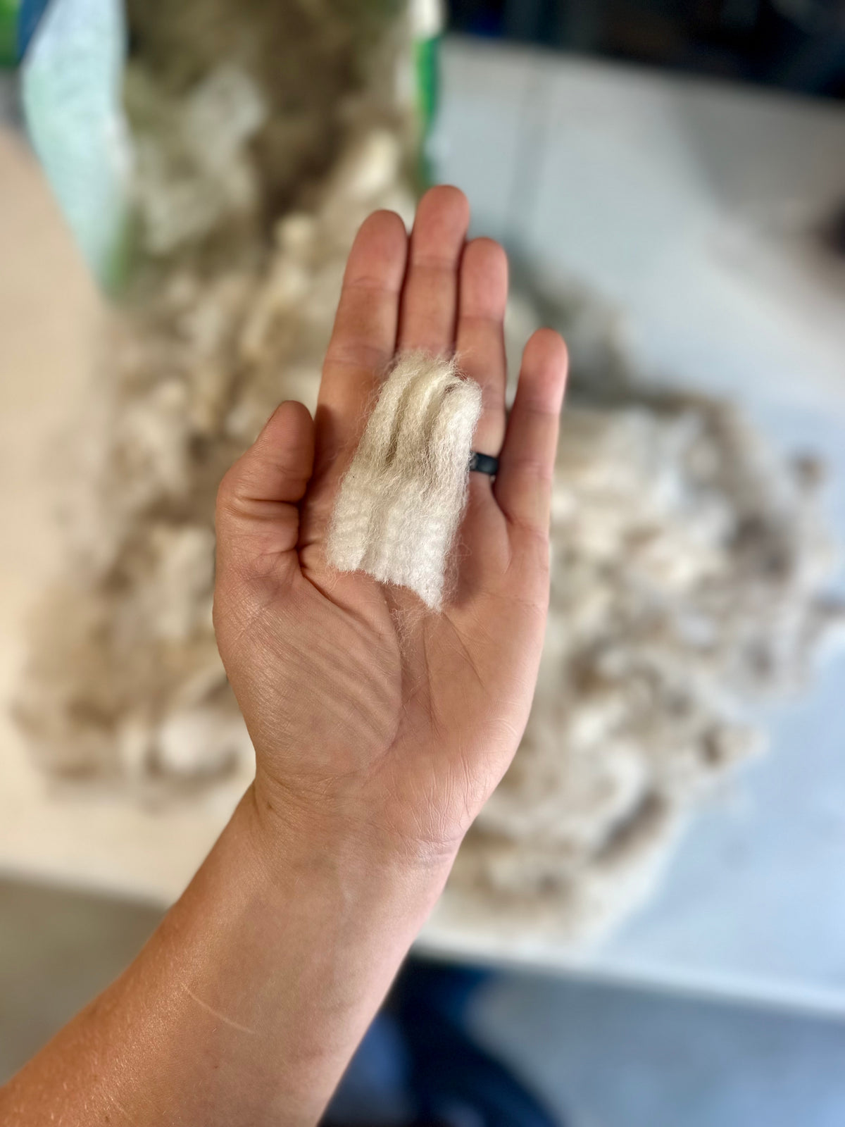 Alpaca Fiber: White