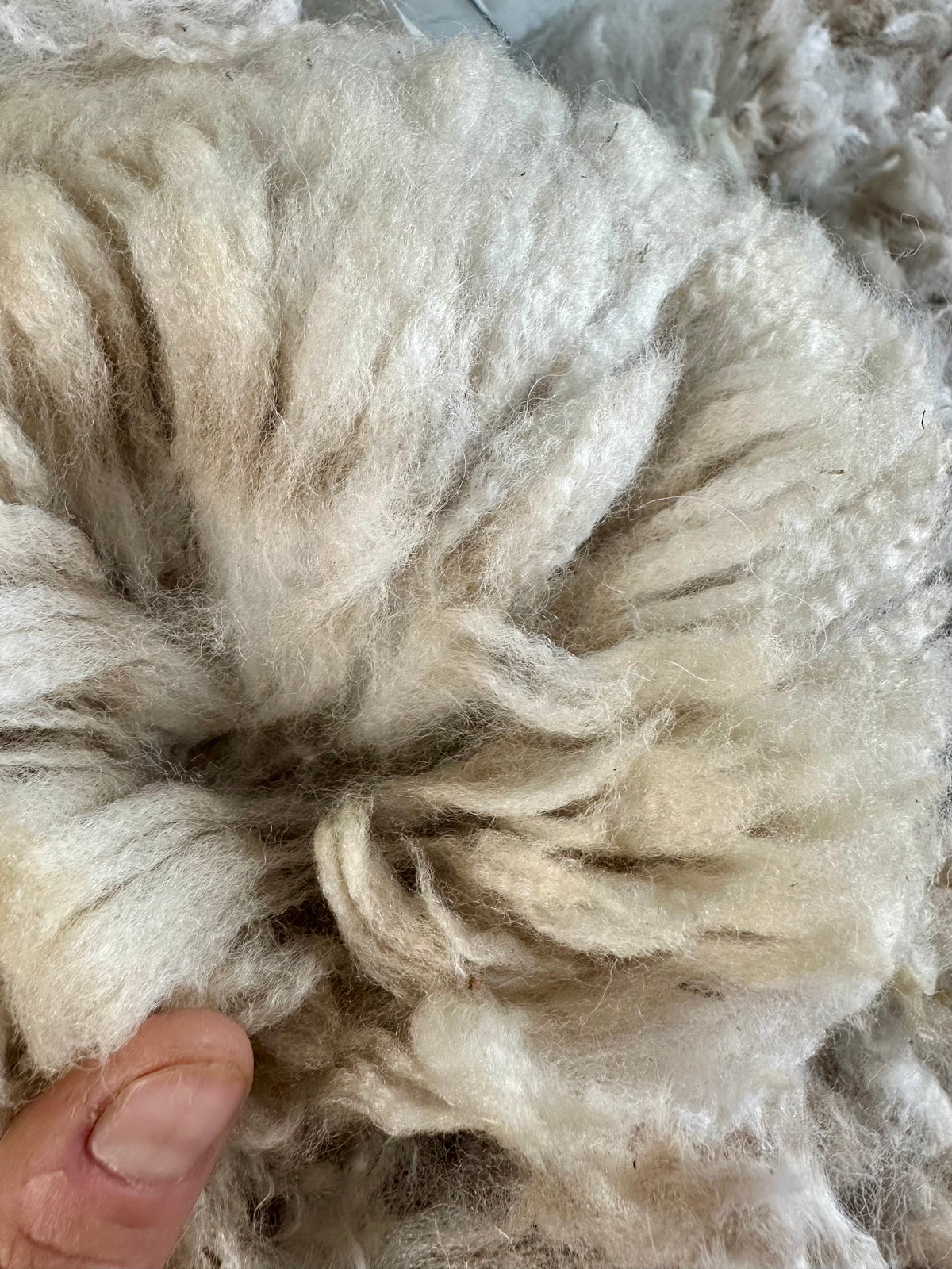 Alpaca Fiber: White