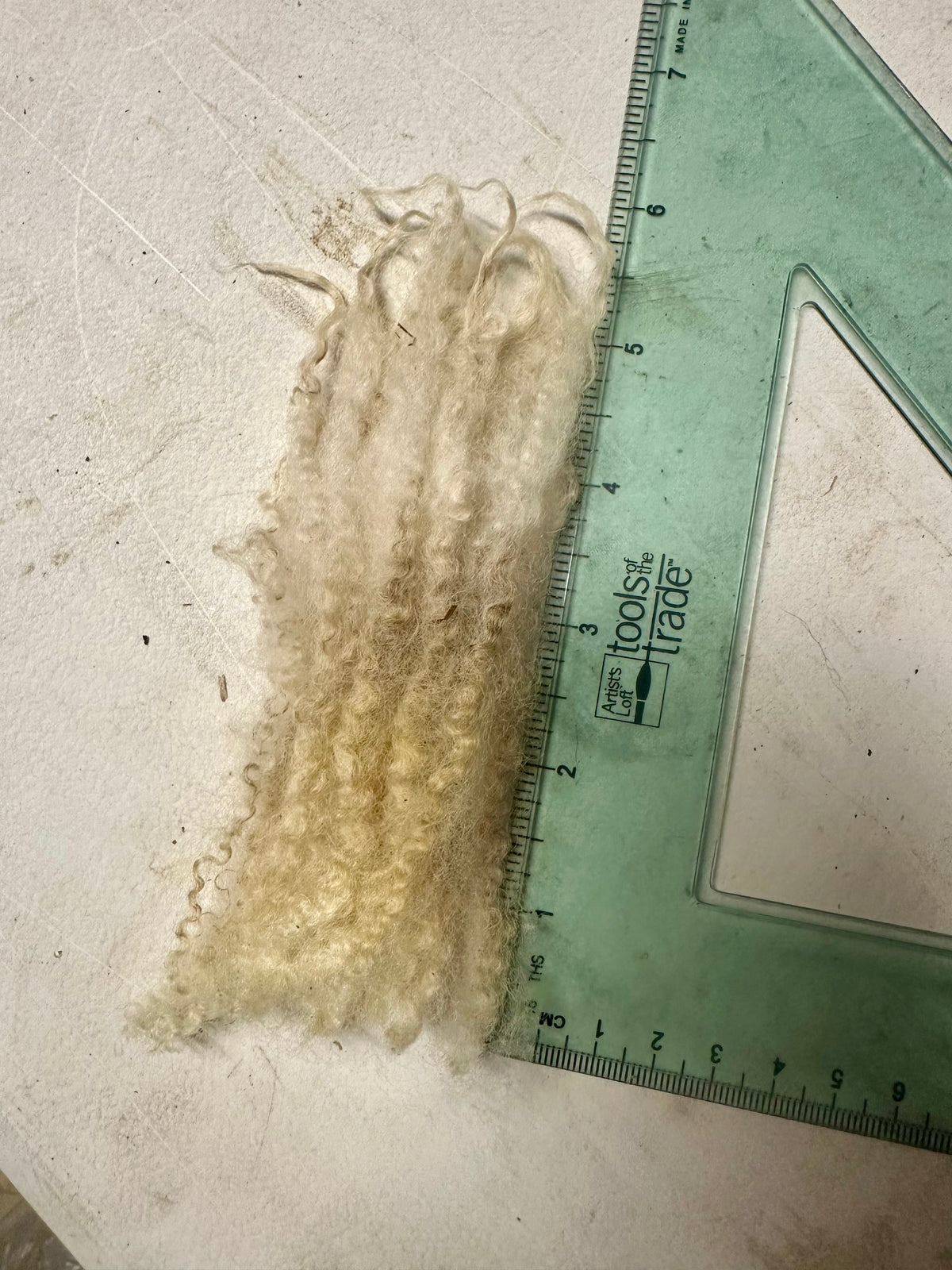 Charlotte: BFL X Fleece 2026 (uncoated)