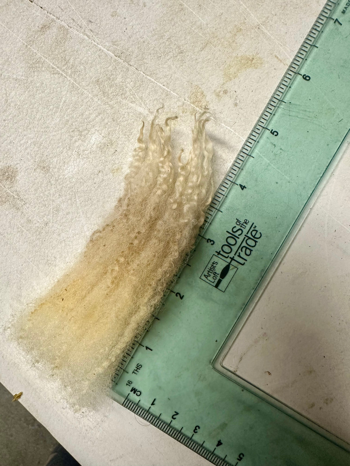 Fenwick: BFL X Fleece 2026 (uncoated)